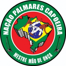 Nacao Palmares Capoeira France